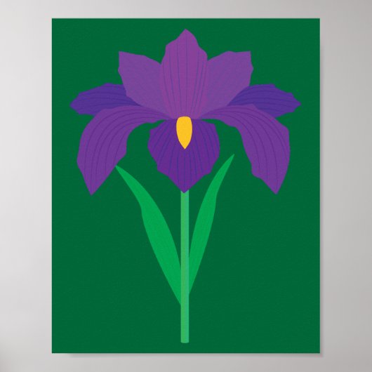 Iris Flower ポスター (正面)