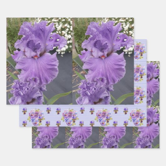 Iris Flower Flowers Purple Lavender Lilac Floral ラッピングペーパーシート (セット)
