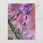 Iris Flower mixed media collage Postcard ポストカード (正面)