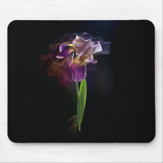 Iris flower on a black background. Long exposure. マウスパッド