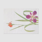 Iris FulvaとIris Fulvala by William Dykes 薄葉紙 (正面)