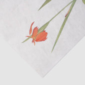 Iris FulvaとIris Fulvala by William Dykes 薄葉紙 (詳細)