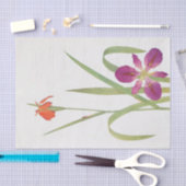 Iris FulvaとIris Fulvala by William Dykes 薄葉紙 (クラフト)