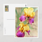 Iris Gala Madrid ポストカード (正面/裏面)