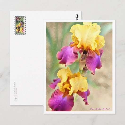 Iris Gala Madrid ポストカード (正面/裏面)