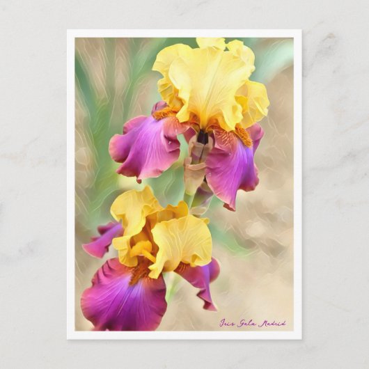 Iris Gala Madrid ポストカード (正面)