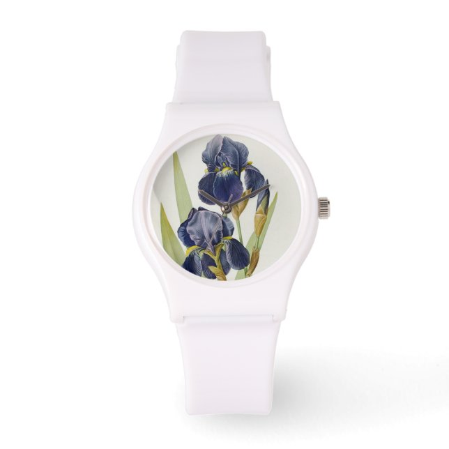 Iris Germanica, from 'Les Liliacees', 1805 腕時計 (正面)