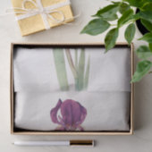 Iris Kochii by William Dykes 薄葉紙 (ギフト)