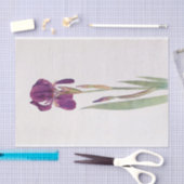 Iris Kochii by William Dykes 薄葉紙 (クラフト)