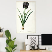 Iris Luxiana, from 'Les Liliacees', 1805 ポスター (ホームオフィス)