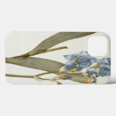 Iris Pallida, from 'Les Liliacees', 1812 Case-Mate iPhoneケース (裏面 (横))