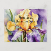 Iris Schwertlilie - Aquarell-Design | ポストカード (正面)