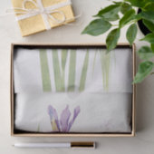 Iris Spuria (カシミール)by William Dykes 薄葉紙 (ギフト)