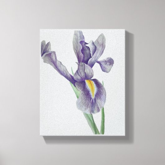 Iris Stretched Canvas Print キャンバスプリント (正面)