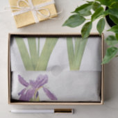 Iris TectorumとIris Loptec by William Dykes 薄葉紙 (ギフト)