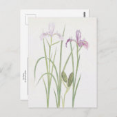 Iris Tenax by William Dykes ポストカード (正面/裏面)