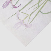 Iris Tenax by William Dykes 薄葉紙 (詳細)