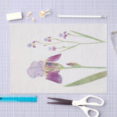 Iris Trojana by William Dykes 薄葉紙 (クラフト)