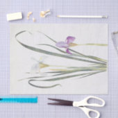 Iris Unguicularis by William Dykes 薄葉紙 (クラフト)