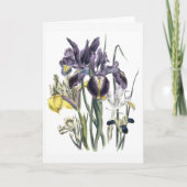 Iris Watercolor Sympathy Card Updated カード (正面)