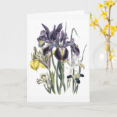 Iris Watercolor Sympathy Card Updated カード (黄色い花)