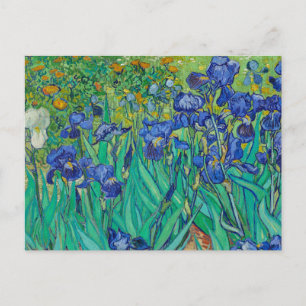 Irises by Vincent vanゴッホ葉書 ポストカード