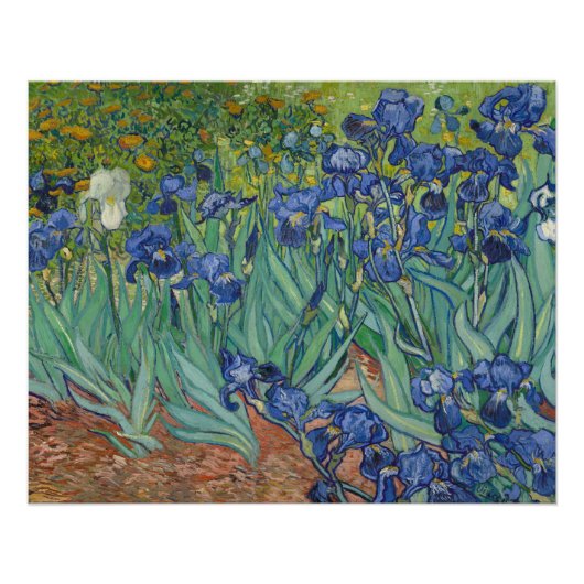 Irises, Floral Oil Painting, Vincent Van Gogh ポスター (正面)