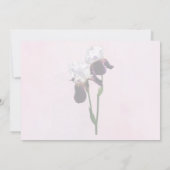 Irises in Love 招待状 (裏面)