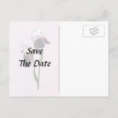 Irises in Love 案内ポストカード (裏面)