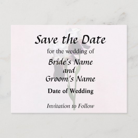 Irises in Love 案内ポストカード (正面)