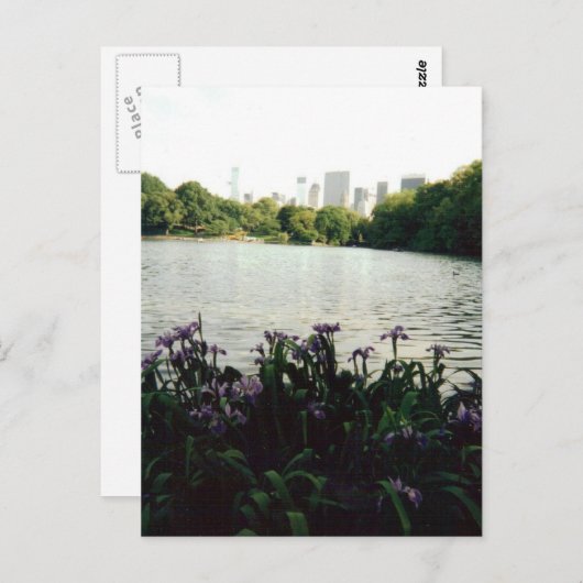 irisesmmm 001 ポストカード (正面/裏面)