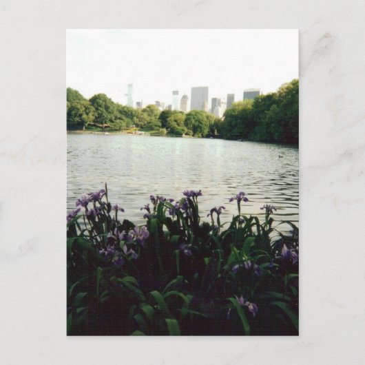 irisesmmm 001 ポストカード (正面)