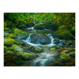 Irish Forest Stream – Emerald Woodland Photo Print ポスター
