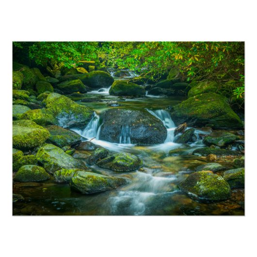Irish Forest Stream – Emerald Woodland Photo Print ポスター (正面)