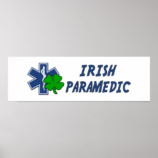 Irish Paramedic ポスター (正面)