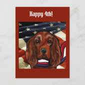 Irish Red Setter    ポストカード (正面)