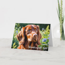 Irish Red Setter Dog Lover Thinking of You カード