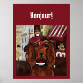 Irish Red Setter    Postcard ポスター (正面)