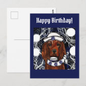 Irish Red Setter    Postcard ポストカード (正面/裏面)