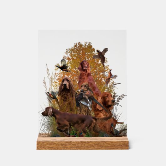 Irish Setter アクリルサイン (正面)