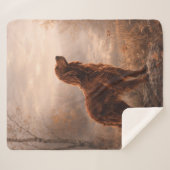 Irish Setter シェルパブランケット (正面(横))