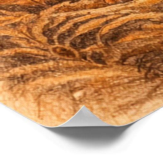 Irish  Setter,  ポスター (角)