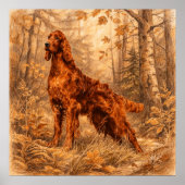 Irish  Setter,  ポスター (正面)