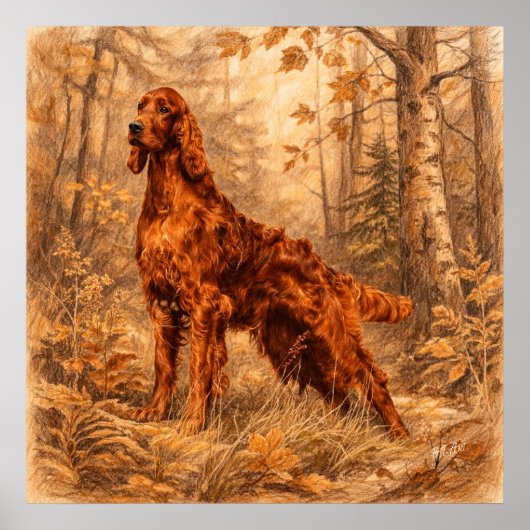 Irish  Setter,  ポスター (正面)