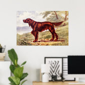 Irish Setter 1900 Illustration of Sporting Dog ポスター (ホームオフィス)