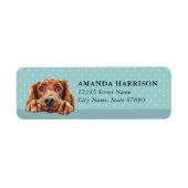 Irish Setter Dog Return Address Labels ラベル (正面)