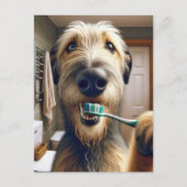 Irish Wolfhound獣医オフィスからのリマインダー ポストカード (正面)