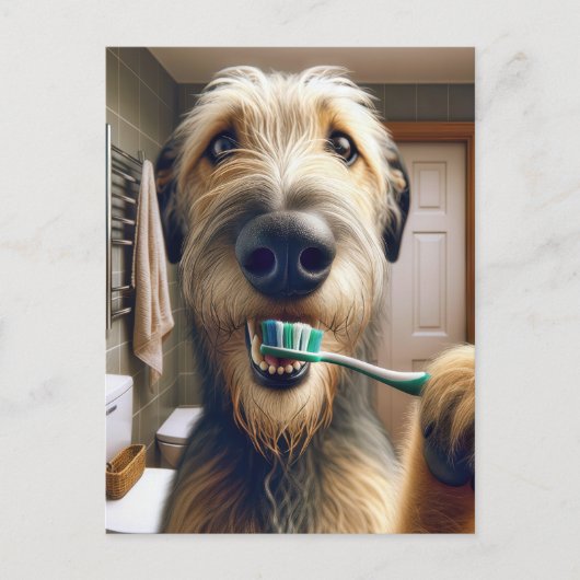 Irish Wolfhound獣医オフィスからのリマインダー ポストカード (正面)