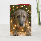 Irish Wolfhound Tangled In Holiday Lights カード (正面)