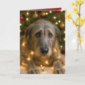 Irish Wolfhound Tangled In Holiday Lights カード (黄色い花)